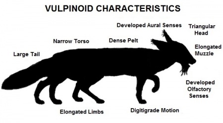 Vulpinoid-T5-Alagoric 06-Sept-2019a.jpg