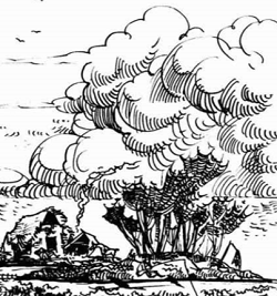 Micro-Ecology-Ouicoral-DJ-Barr-THUMB-JTAS-21-pg-47 30 Aug-2019c.png