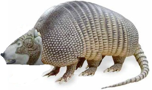 File:Debarrean Bear B.png