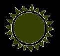 Sunburst (Black & Green).jpg