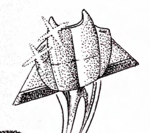 JG EB-DL42 Spearhead class Corvette 2.png