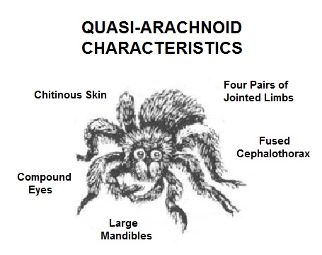 File:Quasi-Arachnoid-T5-Alagoric 06-Sept-2019a.jpg