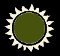 Sunburst (Black & Green)-3.jpg