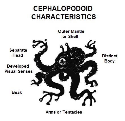 Cephalopodoid-T5-Alagoric 06-Sept-2019a.jpg