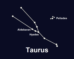 Taurus Constellation Terra.png
