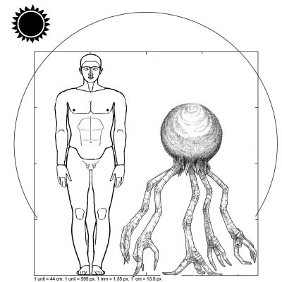 T5-11-sophont-basic-dandelion.jpg