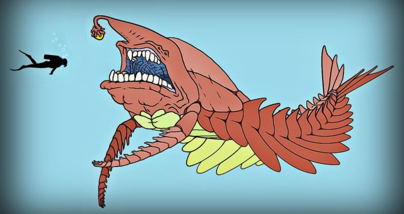 File:Creature Byssal Nasemin 2.jpg