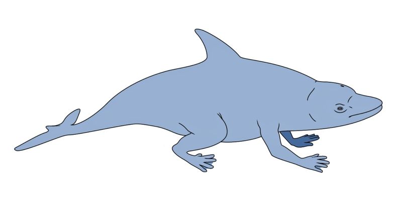 File:Chokari Sophont Species.jpg