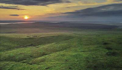 Garden World Plains 04.jpg