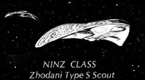 Ninz-Scout-CT-RESIZE-Keith-ACS-1 29-Oct-2019c.jpg