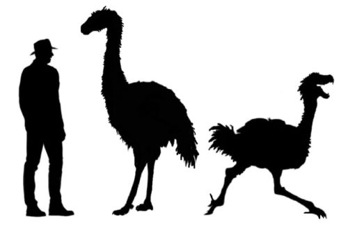 Cucuitt Creature Silhouette 2.jpg