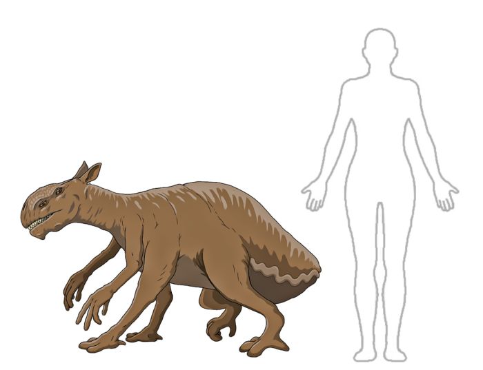 Xubux Sophont Species Size.jpg