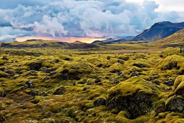 Garden World Type 12b.jpg