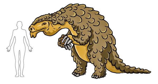 Tshini Sophont Species Size.jpg