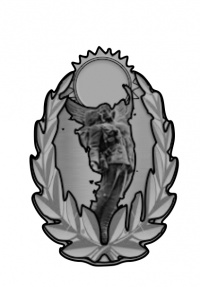 Imperial Wound Badge 2nd Class.jpeg