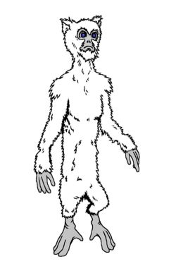 Dhaen Species.jpg