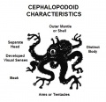 Cephalopodoid-T5-Alagoric 06-Sept-2019a.jpg