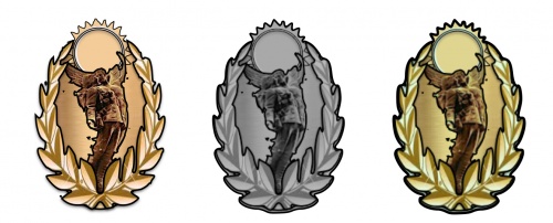 Imperial Wounds Badges 3rd-1st Class.jpeg