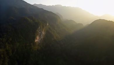 Garden World Type 20.jpg