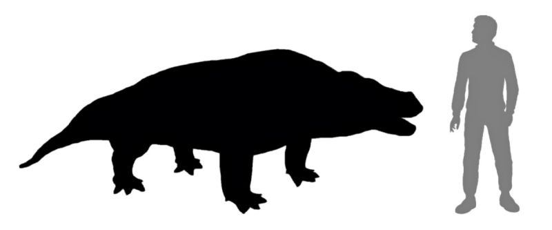 File:Slindi Creature Silhouette.jpg