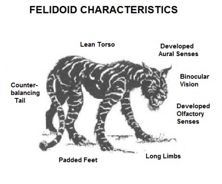 Felidoid-T5-Alagoric 06-Sept-2019a.jpg