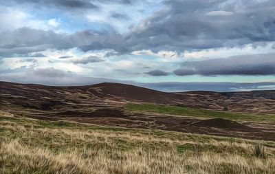 Garden World Type 05f.jpg