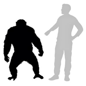 Uplifted Ape Sophont Comparison 2.jpg